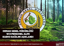 Tarım ve Orman Bakanlığı Orman Genel Müdürlüğü 1.613 Personel Alımında Kadro Dağılımı Belli Oldu