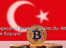 Türkler Dogecoin’i Bıraktı Bu Altcoinlerin Peşinde