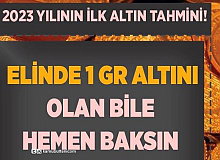 Uzmanlar: 2023'te Altın Zirveyi Görecek