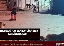 Barınaktaki Hayvan Katliamına Tahliye Kararı