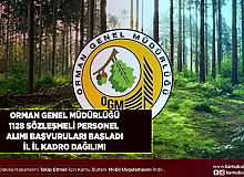 Orman Genel Müdürlüğü 1128 Sözleşmeli Personel Alımı Başladı İl İl Kadro Dağılımı