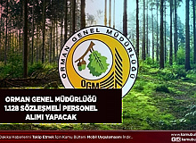 Orman Genel Müdürlüğü 1128 Sözleşmeli Personel Alımı Yapacak