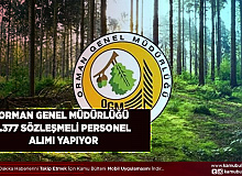 Orman Genel Müdürlüğü 1377 Sözleşmeli Kamu Personeli Alımı Yapıyor