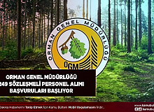 Orman Genel Müdürlüğü 249 Sözleşmeli Personel Alımı Başvuruları Başlıyor