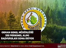 Orman Genel Müdürlüğü 355 Personel Alımı Yapıyor