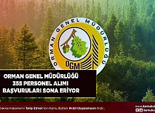 Orman Genel Müdürlüğü 355 Personel Alımı Yapıyor