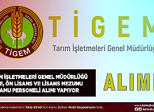 Tarım İşletmeleri Genel Müdürlüğü Taşra Teşkilatında İstihdam Edilmek Üzere Kamu Personeli Alımı Yapıyor