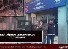 Kedi Düşmanı Ettiğini Buldu Tutuklanarak Cezaevine Gönderildi