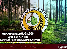 Orman Genel Müdürlüğü 2023 Yılı 1128 Sözleşmeli Personel Alımı Yapıyor
