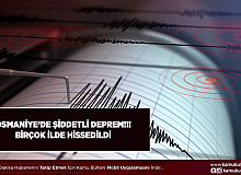 Osmaniye'de Şiddetli Deprem Çevre İllerden de Hissedildi
