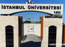 İUC 59 sözleşmeli personel alımı yapacak